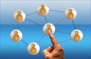 开云电竞服务-意甲球队季中高强度赛程负荷与表现关系研究，意甲各项记录