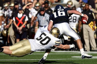 开云官网APP下载-意甲裁判团队开展多国裁判语境一致性训练营提升执法质量，意甲裁判服赞助商